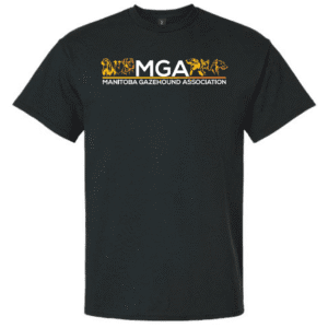 G200 Gildan Ultra Cotton T-Shirt - Black