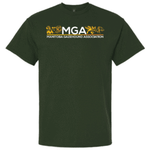 G200 Gildan Ultra Cotton T-Shirt - Forest Green