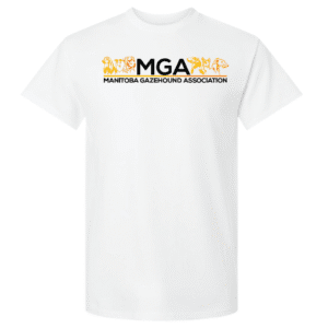 G200 Gildan Ultra Cotton T-Shirt - White