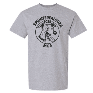 G200 Gildan Ultra Cotton T-Shirt - Sport Grey